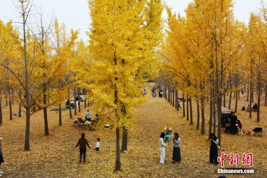 119ɽ|SӰ߅ǧy¶IyM^pڣ硰ͮˡ