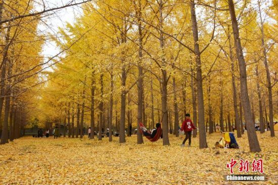 119ɽ|SӰ߅ǧy¶IyM^p硰ͮ