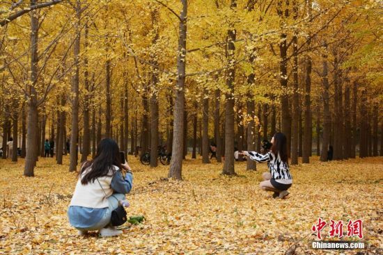 119ɽ|SӰ߅ǧy¶IڣyM^p硰ͮˡ