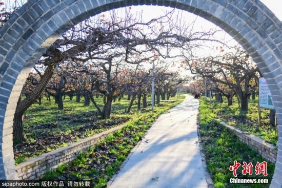 2024114ɽ|Ir(sh)(ji)λڞI(yng)ſh(yng)ֵ(ni)İ@(jng)^(gu)˪ϴY(sh)~ӳʬF(xin)tɫ(yng)ӳrɫԊ(sh)箋(hu)