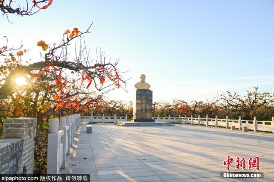 2024114գɽ|Ir(sh)(ji)λڞI(yng)ſh(yng)ֵ(ni)İ@(jng)^(gu)˪ϴY(sh)~ӳʬF(xin)tɫ(yng)ӳrɫԊ(sh)箋(hu)