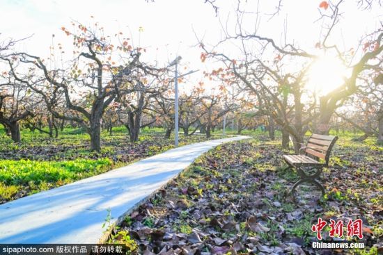 2024114ɽ|Iݡr(sh)(ji)λڞI(yng)ſh(yng)ֵ(ni)İ@(jng)^(gu)˪ϴY(sh)~ӳʬF(xin)tɫ(yng)ӳrɫԊ(sh)箋(hu)