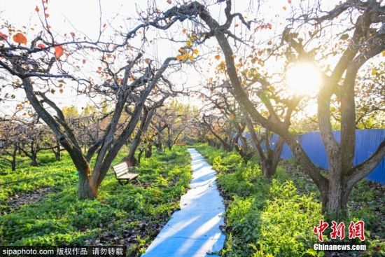 2024114ɽ|Ir(sh)(ji)λڞI(yng)ſh(yng)ֵ(ni)İ@(jng)^(gu)˪ϴY(sh)~ӳʬF(xin)tɫ(yng)ӳrɫԊ(sh)箋(hu)