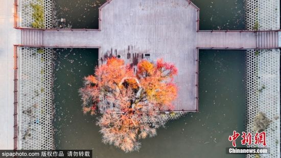 2024114ɽ|Iݡr(sh)(ji)λڞI(yng)ſh(yng)ֵ(ni)İ@(jng)^(gu)˪ϴY(sh)~ӳʬF(xin)tɫ(yng)ӳrɫԊ(sh)箋(hu)