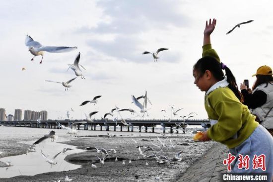 1117գСcttHܻr(ji)λuгꖅ^(q)ĞIӭȺttG^nȺBҒʳϢ(zhn)ԽI z