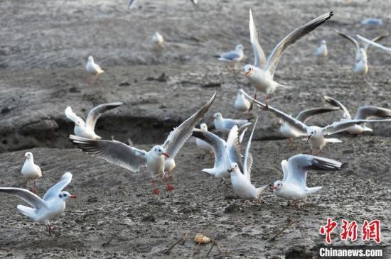 1117Ⱥttڝء衱ѲΡr(ji)λuгꖅ^(q)ĞIӭȺttG^nȺBҒʳϢ(zhn)ԽI z 