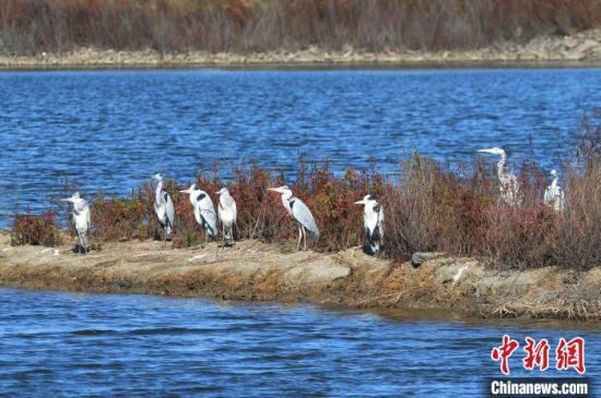 1117գȺnڰ߅Ϣr(ji)λuгꖅ^(q)ĞIӭȺttG^nȺBҒʳϢ(zhn)ԽI z