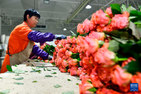 1114գht(zhn)F(xin)r(nng)I(y)a(chn)I(y)@ˆTõtõѳɞ鮔(dng)?sh)һa(chn)I(y)ƬAӛ w z