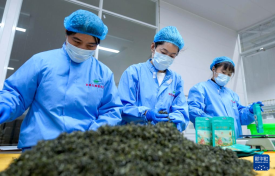 1113Ѝɽ^(q)޷(zhn)޷~r(nng)񌣘I(y)(lin)ˆTڰb~վG(bio)־ƷЧղa(chn)I(y)İl(f)չAӛ w z