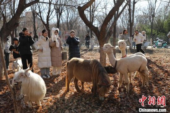 1218ɽ|(j)ɽ|W(xu)Ȍ@򿨻(dng)ԓУO(sh)Ȍ@÷¹O(sh)mRȄ(dng)͡W(xu)HȻ≺ӛ  z