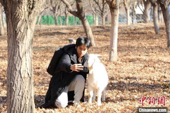 1218ɽ|(j)ɽ|W(xu)Ȍ@򿨻(dng)ԓУO(sh)Ȍ@÷¹񄡢O(sh)mRȄ(dng)͡W(xu)HȻ≺ӛ  z