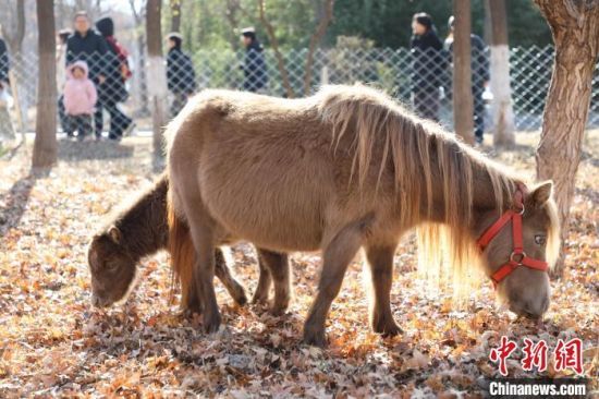 1218գɽ|(j)ɽ|W(xu)Ȍ@򿨻(dng)ԓУO(sh)Ȍ@÷¹O(sh)mRȄ(dng)͡W(xu)HȻ≺ӛ  z