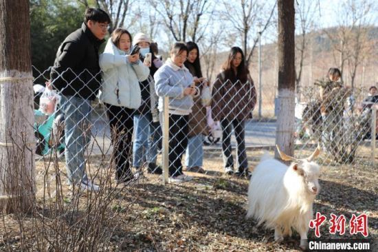 1218ɽ|(j)ϣɽ|W(xu)Ȍ@򿨻(dng)ԓУO(sh)Ȍ@÷¹O(sh)mRȄ(dng)У͡W(xu)HȻ≺ӛ  z