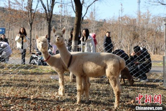 1218գɽ|(j)ɽ|W(xu)Ȍ@򿨻(dng)ԓУO(sh)Ȍ@÷¹O(sh)mRȄ(dng)͡W(xu)HȻ≺ɡӛ  z