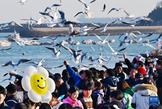 120գοu򾰅^(q)ptAӛ Ϻ z