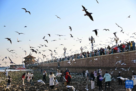 120οu򾰅^(q)ptAӛ Ϻ z