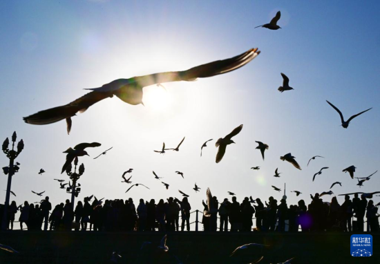 120οu򾰅^(q)ptAӛ Ϻ z