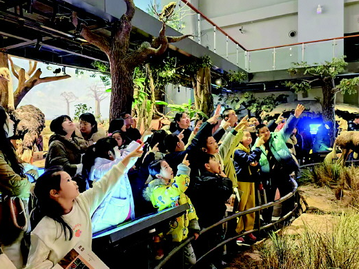 春節(jié)假期,山東博物館吸引了大量參觀者。