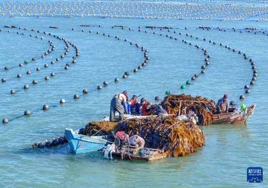 219գɽ|ʡsА(i)(chng)B(yng)ֳ^(q)B(yng)ֳ{ի@(o(w)˙C(j)Ƭ)