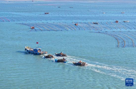 219ɽ|ʡsА(i)(chng)B(yng)ֳ^(q)B(yng)ֳ{ի@(o(w)˙C(j)Ƭ)