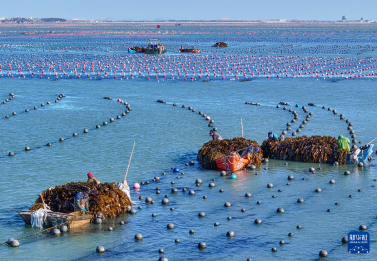 219ɽ|ʡsА(i)(chng)B(yng)ֳ^(q)B(yng)ֳ{ի@(o(w)˙C(j)Ƭ)