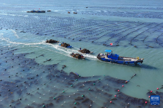 219ɽ|ʡsА(i)(chng)B(yng)ֳ^(q)B(yng)ֳ{ի@(o(w)˙C(j)Ƭ)