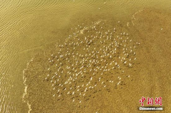 39ȺttڞͿw衣Օr(sh)(ji)ȺBuг(yng)^(q)ֵͤ뺣ڝؕґԡLһB(ti)o˙C(j)Ƭ