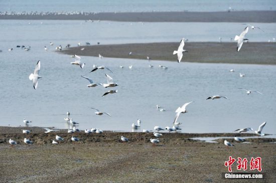 39գȺttڞͿ輯Օr(sh)(ji)ȺBuг(yng)^(q)ֵͤڝؕґԡLһB(ti)