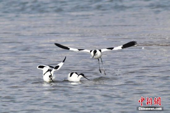 39ֻˮґՕr(sh)(ji)ȺBuг(yng)^(q)ֵͤڝؕґԡLһB(ti)