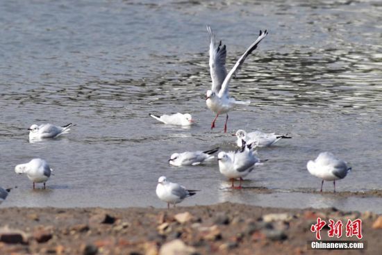 39ȺttˮϴԡëՕr(sh)(ji)ȺBuг(yng)^(q)ֵͤڝؕґԡLһB(ti)