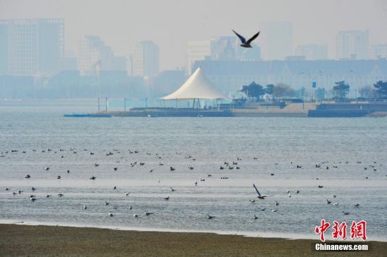 39NBڞͿϢՕr(sh)(ji)ȺBuг(yng)^(q)ֵͤڝؕґԡLһB(ti)