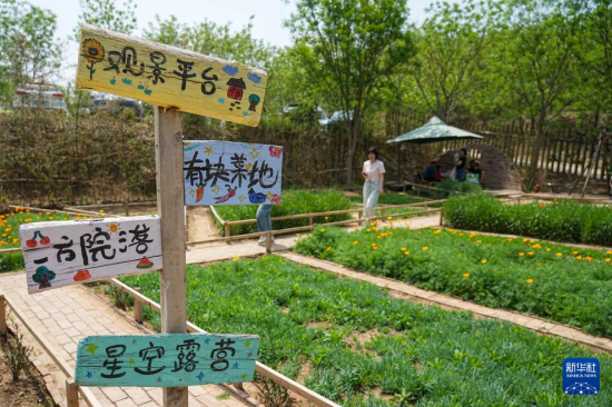 420գڏĽֵܼҰοһ̎eͥԺ(ni)eʘAӛ 썘 z