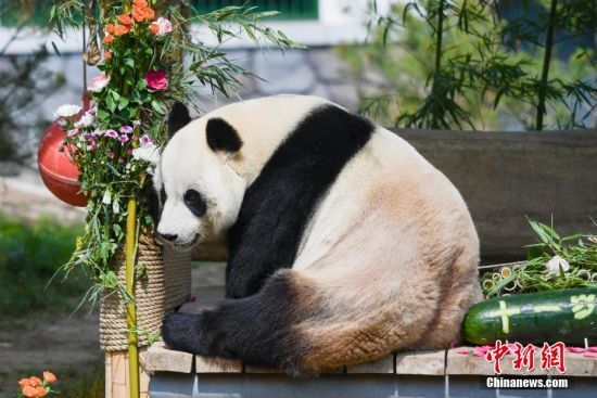 525գ(j)τ(dng)@؈żáմ͡(dng)գɽ|(j)τ(dng)@؈żӭ11q(dng)@żơ⡱c