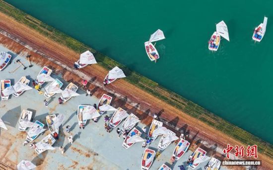 D酢ِxm(x)o˙CƬM z