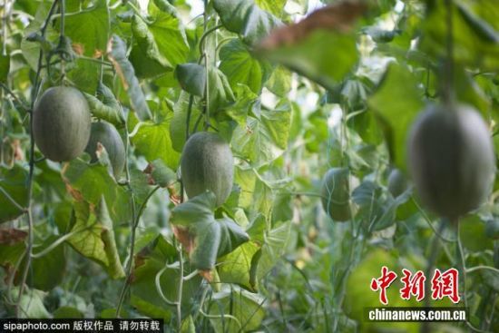 924ɽ|IλڞIſhꖽֵF(xin)r(nng)I(y)a(chn)I(y)@(ni)Ĺܹӭի@r(nng)ץr(nng)r_չr(nng)g^һɷæZ z