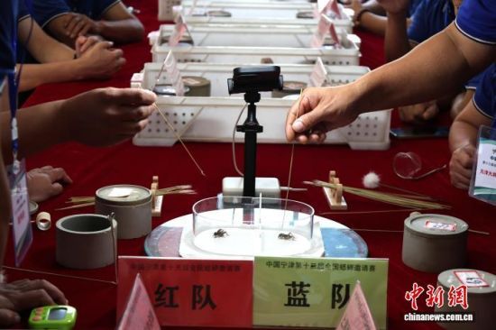 101ɽ|ʮȫ(gu)Ո(qng)ِ]Ļ(li)Ϻ򡢺ӱɽ|ȵص12֧(du)酢c(zhng)ԡx(chng)硱DِF(xin)(chng) z