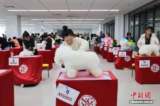 1023ɽ|׌áȪی{ɰϣoِܱ_ِԺ{ɰąِxւ@O(sh)Ӌ坍޼ȼչ_ӛ  z