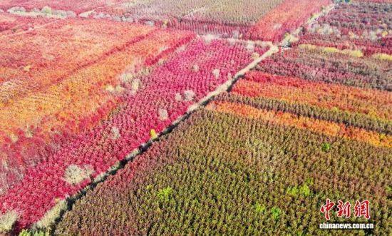 111գɽ|ʡuRǧtֱMȾD鮔(dng)?sh)ǧto˙C(j)ƬM(jn) z