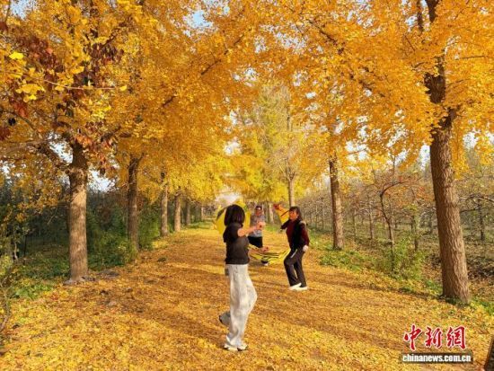 1114ɽ|ʝ^(q)RX(zhn)ĽB(ti)@⣬pͯһ  z 