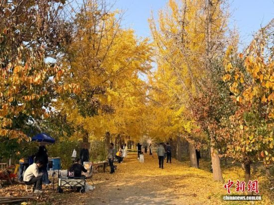 1114գɽ|ʝ^(q)RX(zhn)ĽB(ti)@̤ͯһ  z