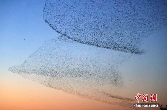 D/CNSphoto ܏VW(xu) z