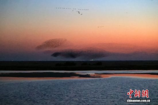 D/CNSphoto ܏VW(xu) z