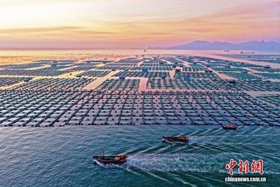 �D/CNSphoto �O��̶ �z