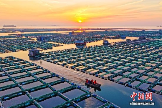 �D/CNSphoto �O��̶ �z