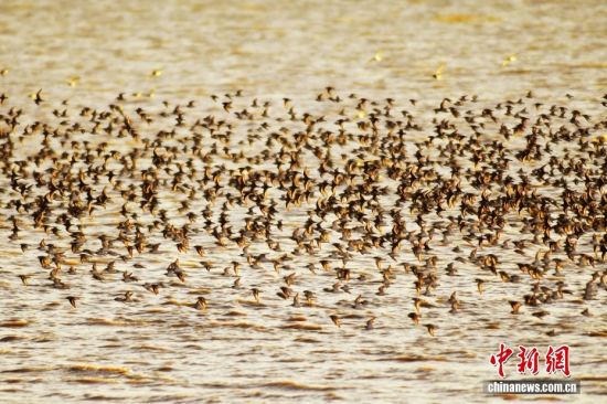 1022ɽ|uՕr(ji)ȺB輯uгꖅ^(q)׽ֵILһB(ti)DȺڸIںwD/ҕXЇ