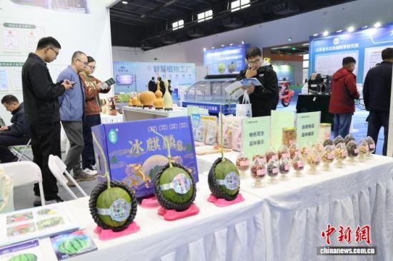 2025Ї(gu)(ɽ|)F(xin)Чr(nng)I(y)Ƽ[(hu)26ɽ|(j)_(ki)ĻO z