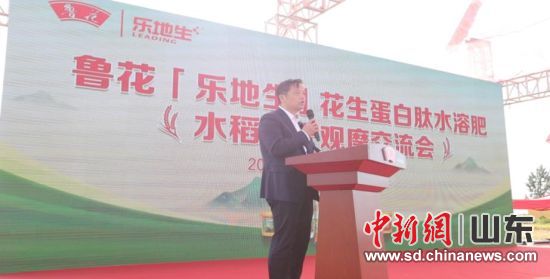 f(wn)hί(sh)ӛA(yng)o