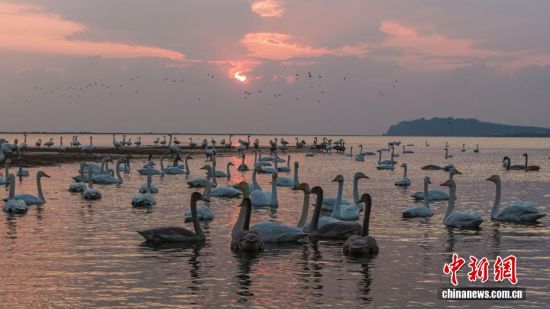 ˪r(ji)ɽ|sɴZҼȻo(h)^(q)ӭwԽġѡȺY(ji)꠵ĴZwZ_Խ֮`ӵӰcӳȤɞBw·ϳMC(j)B(ti)L(fng)o˙C(j)Ƭž z