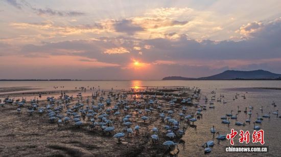 ˪r(ji)ɽ|sɴZҼȻo(h)^(q)ӭwԽġѡȺY(ji)꠵ĴZwZ_Խ֮ã`ӵӰcӳȤɞBw·ϳMC(j)B(ti)L(fng)o˙C(j)Ƭž z