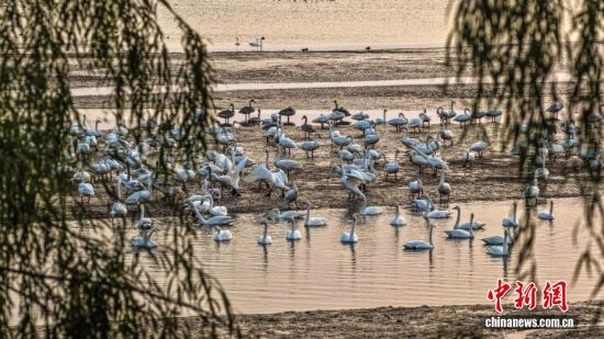 ˪r(ji)ɽ|sɴZҼȻo(h)^(q)ӭwԽġѡȺY(ji)꠵ĴZwZ_Խ֮ã`ӵӰcӳȤɞBw·ϳMC(j)B(ti)L(fng)o˙C(j)Ƭž z